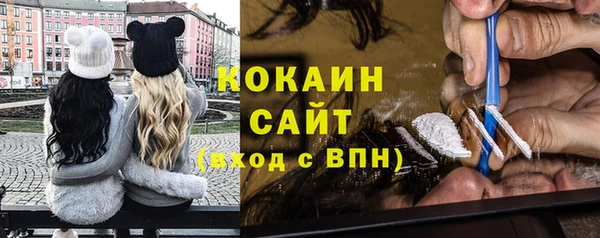 крисы Абаза