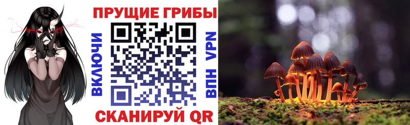 Галлюциногенные грибы MAGIC MUSHROOMS  Магадан 